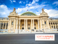 Visuels musée et monument - Grand Palais travaux