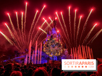 30 ans Disneyland Paris : Disney Illumination Feu d'artifice