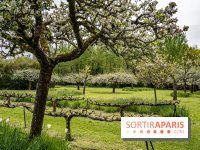 Le Château de Saint-Jean de Beauregard et son Jardin remarquable