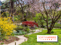 Les jardins du Musée Albert Kahn, nos photos