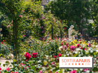 Photos La roseraie du Jardin des Plantes 