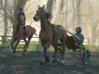 Tempête, le joli film de Christian Duguay avec Mélanie Laurent et Pio Marmaï : avis et bande-annonce