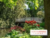 Arboretum de la Vallée-aux-Loups, une balade au milieu des arbres remarquables