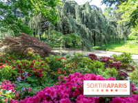Arboretum de la Vallée-aux-Loups, une balade au milieu des arbres remarquables - A7C07775
