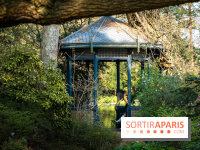 Arboretum de la Vallée-aux-Loups, une balade au milieu des arbres remarquables