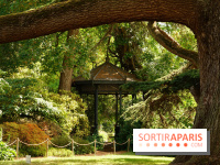 Arboretum de la Vallée-aux-Loups, une balade au milieu des arbres remarquables