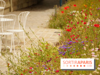 l'Île des Impressionnistes à Chatou