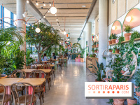 Titi Palacio, bar-restaurant festif à la Félicité 