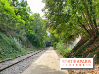 Balade sur la Petite Ceinture du 17e : la promenade Pereire