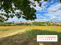 Houdan, ville médiévale et balade historique dans les Yvelines