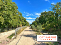 Balade sur la Petite Ceinture du 14 au 16e arrondissement : un sentier nature dépaysant