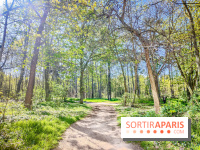 Visuels Paris - forêt bois de Boulogne nature soleil printemps