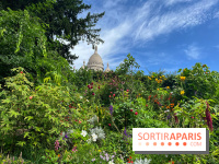 Visuels Paris - montmartre sacré cœur
