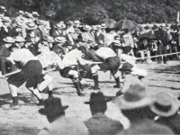 Disciplines disparues programme JO