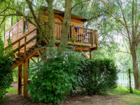 Espace nature creux du chêne