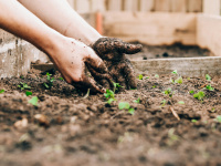 visuel jardinage
