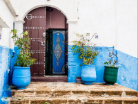 Felfel, le festival de l'Institut du Monde arabe