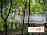 Accrocamp Poissy, le nouvel accrobranche au parc du château de Villiers