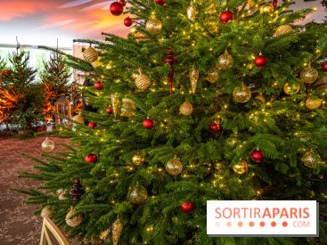 Visuels Noël - sapin