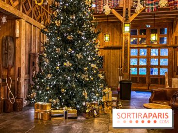 Noël Paris visuels - sapin de noël