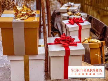 Noël Paris visuels - cadeau Noël