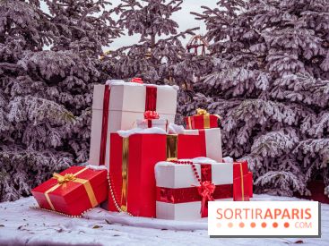 Noël Paris visuels - cadeau Noël