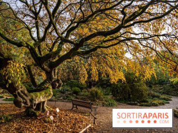 Le Jardin Alpin caché du Jardin des Plantes