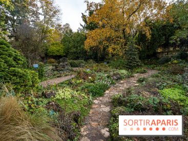 Le Jardin Alpin caché du Jardin des Plantes