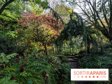 Le Jardin Alpin caché du Jardin des Plantes