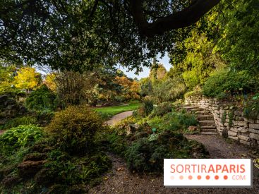 Le Jardin Alpin caché du Jardin des Plantes