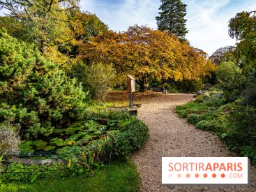 Le Jardin Alpin caché du Jardin des Plantes