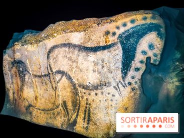 Arts et Préhistoire, l'exposition de peintures rupestres au Musée de l'Homme - nos photos