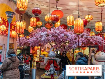 Paris Food Tour spécial 13e, quartier chinois - Tang Frères