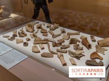 Picasso et la Préhistoire, les photos de l'exposition au Musée de l'Homme - ossements