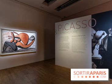 Picasso et la Préhistoire, les photos de l'exposition au Musée de l'Homme