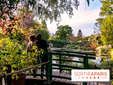 Saint-Valentin visuel saint Valentin - couple