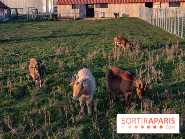 Fermes de Gally - Saint Denis - ED9AAD72 02C7 4C56 B502 2B079F42EDDF