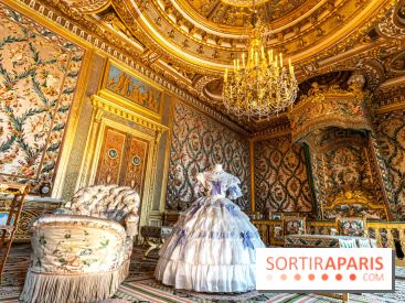 Château de Fontainebleau - Napoléon III et Eugénie -  A7C4100