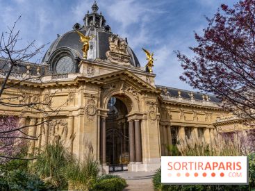 Petit Palais - Collection permanente  -  jardin