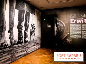 Elliott Erwitt, l'expo au Musée Maillol, nos photos