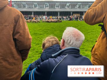 Transhumance à la Villette - C455CCC6 0ADA 4DBE 94CA DA1F5783DC69