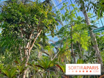 Le Jardin des Serres d'Auteuil - IMG 1552