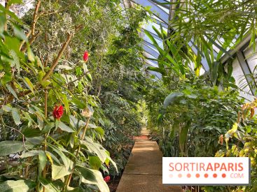 Le Jardin des Serres d'Auteuil - IMG 1570