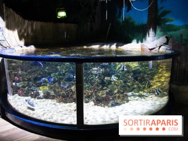 Aquarium Sea Life