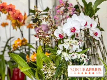 Esprit Jardin à Versailles - Marché aux plantes et animations