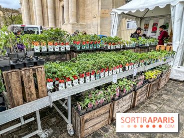 Esprit Jardin à Versailles - Marché aux plantes et animations