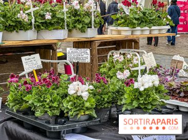 Esprit Jardin à Versailles - Marché aux plantes et animations