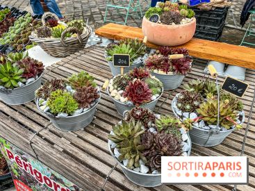 Esprit Jardin à Versailles - Marché aux plantes et animations
