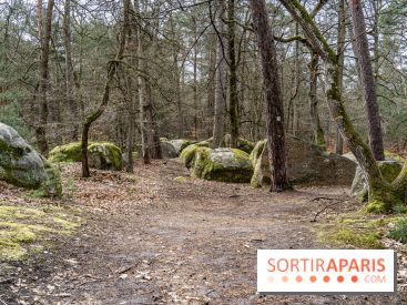 Barbizon, le village entre art et nature