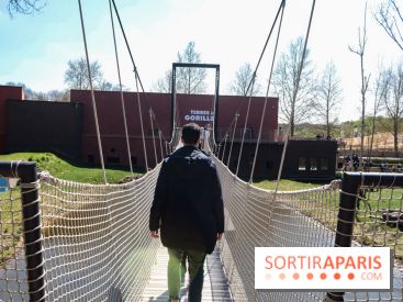 Zoo de Thoiry 2023 - Terre des gorilles